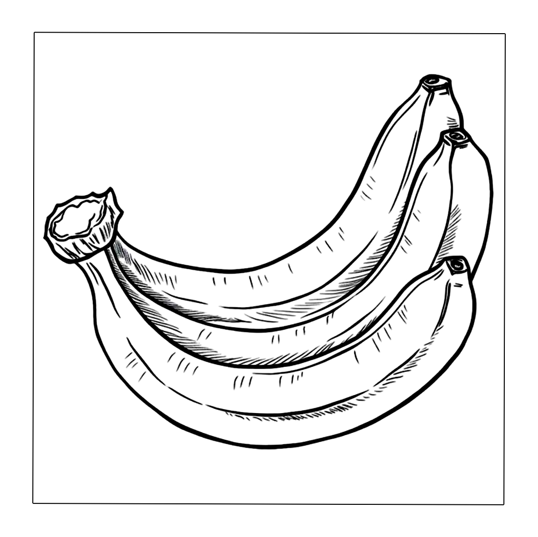 Drei Banane stehen nebeneinander