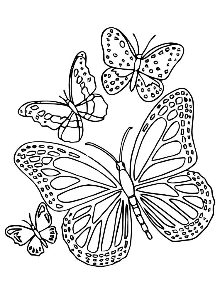 Vier süße Schmetterling Ausmalbilder