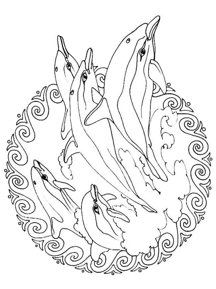 Tiere Mandala Delfin Ausmalbild